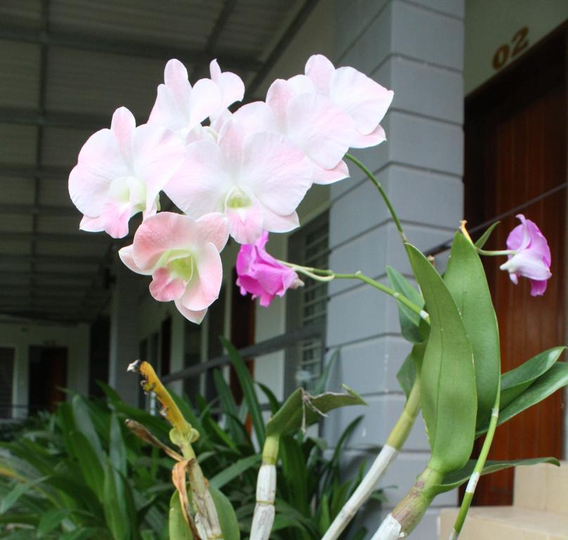My Parents Guesthouse Kampot Luaran gambar