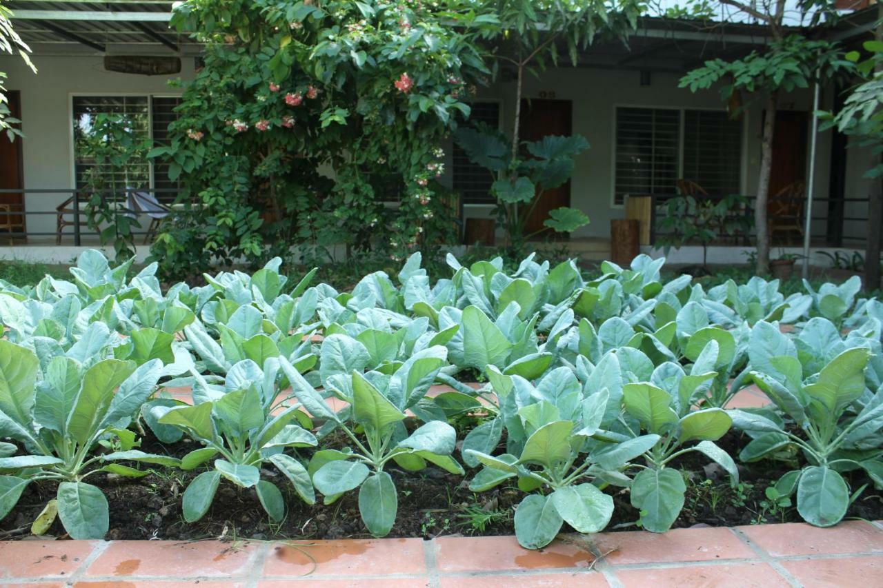 My Parents Guesthouse Kampot Luaran gambar