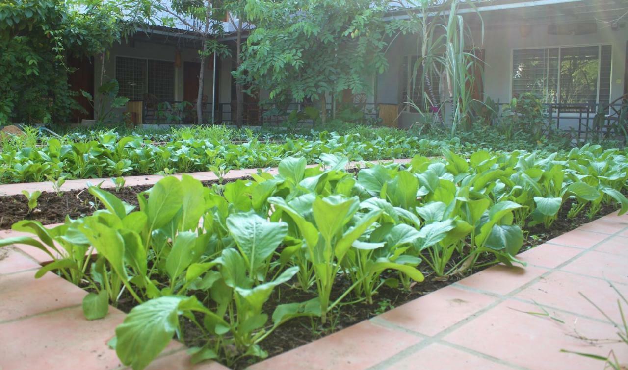 My Parents Guesthouse Kampot Luaran gambar