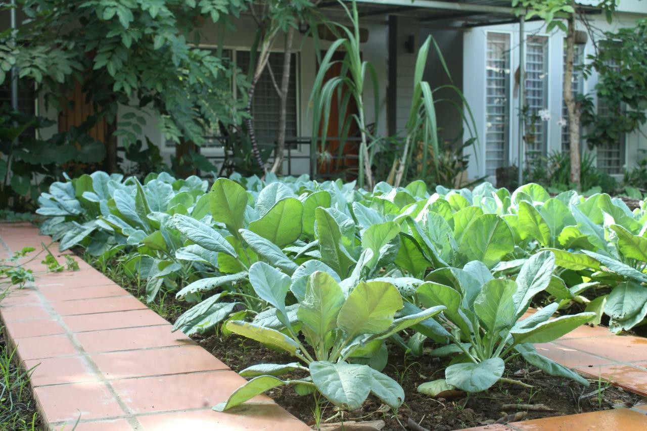 My Parents Guesthouse Kampot Luaran gambar