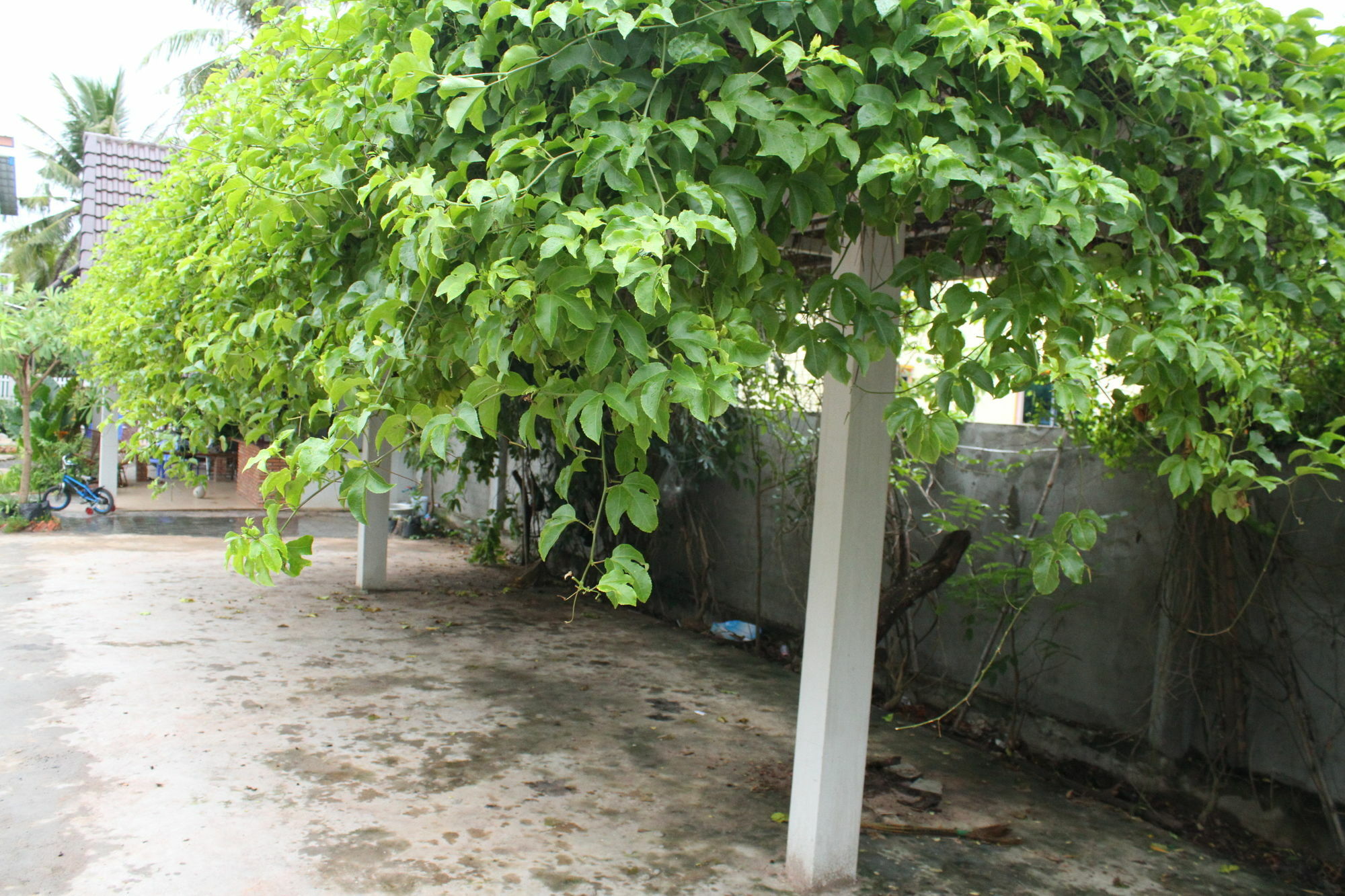 My Parents Guesthouse Kampot Luaran gambar